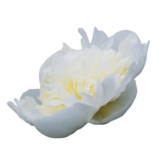 Duchesse de Nemours