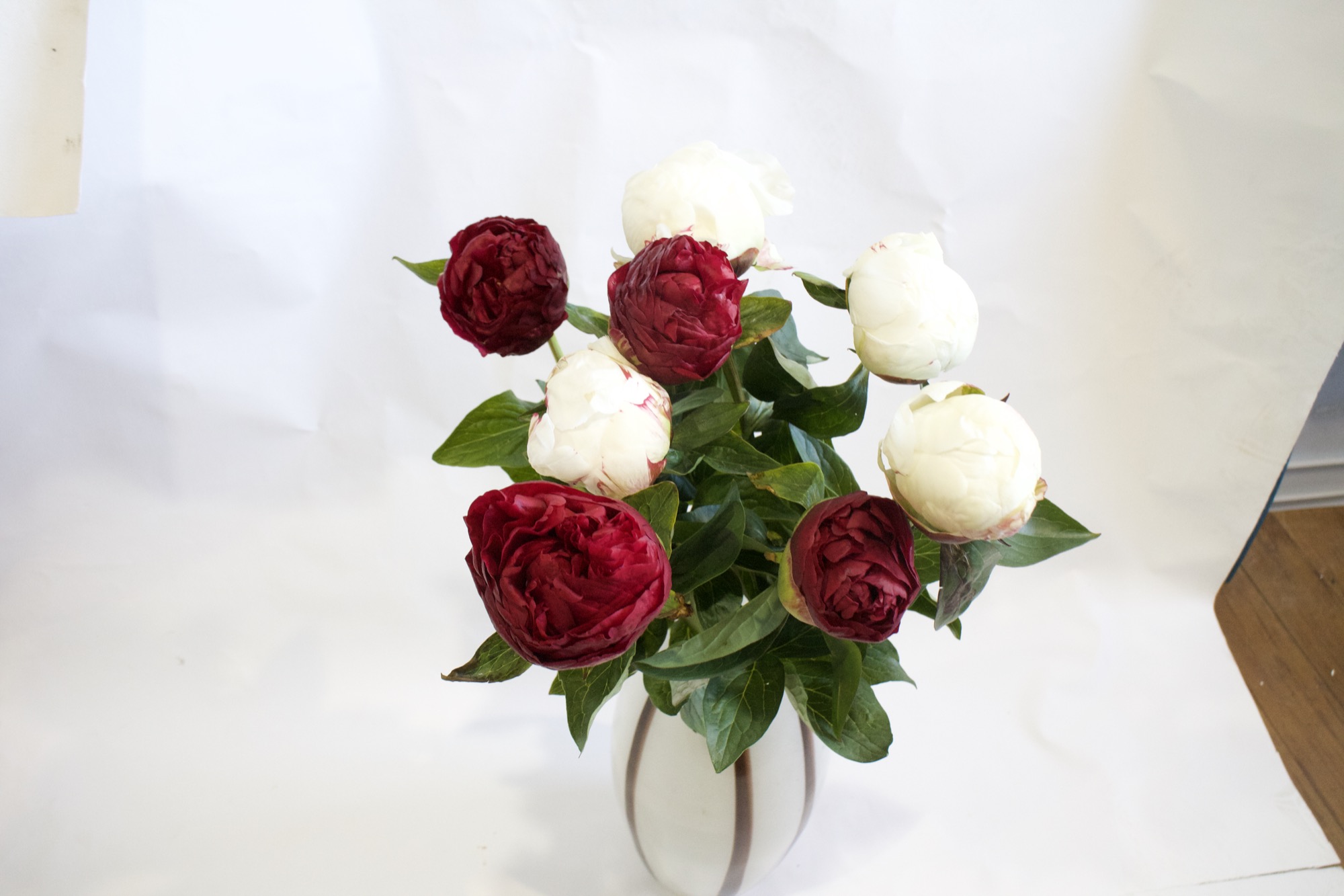 Mixed bunch — reds and whites together